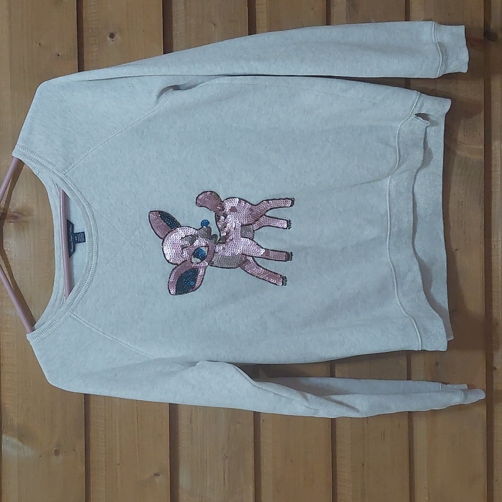 American eagle outfitters sweatshirt Medium